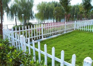 ��ƺ�Fˇ�o(h��)��