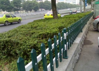 ��ƺ�Fˇ�o(h��)��