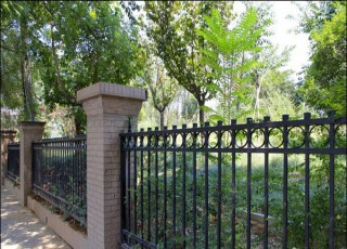 �e���Fˇ�o(h��)��