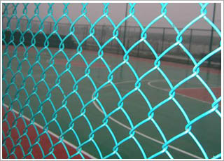 �w�������W(w��ng)